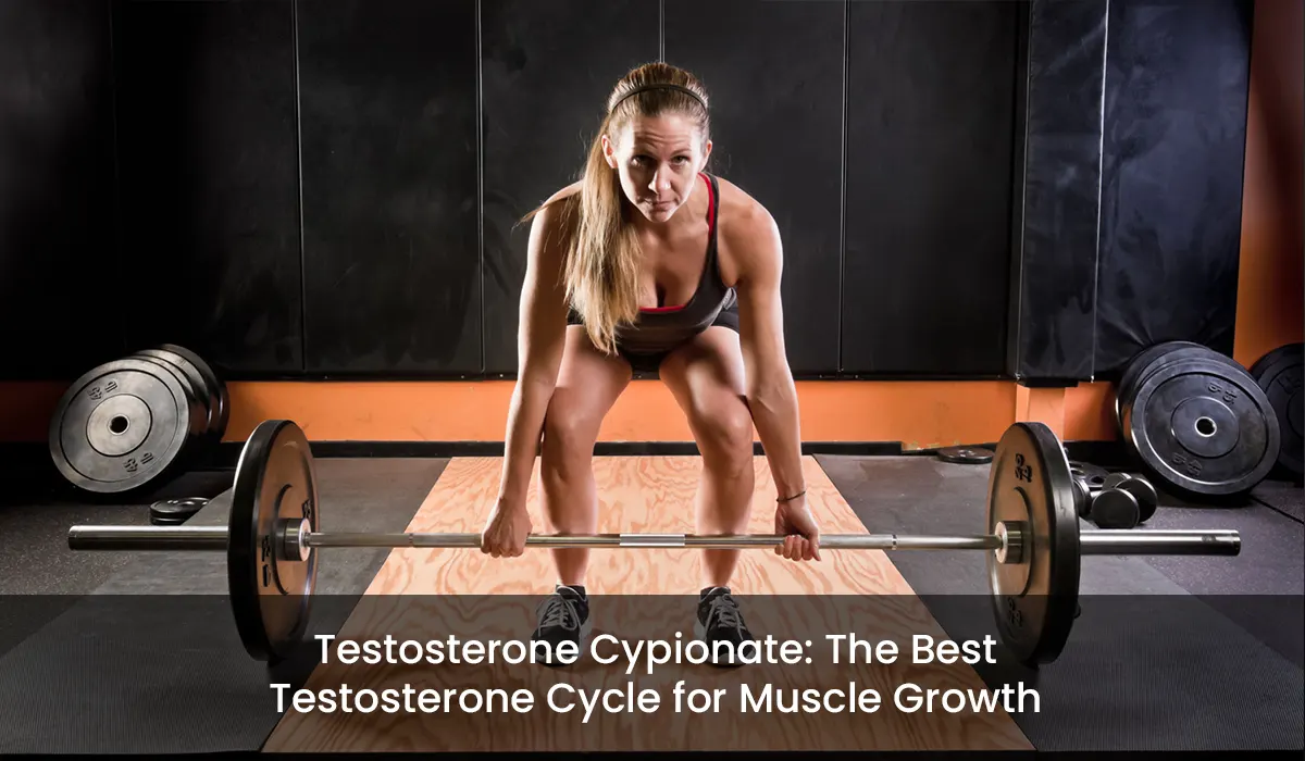 Testosterone Cypionate: The Best Testosterone Cycle for Muscle Growth