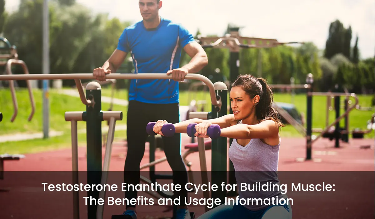 Testosterone Enanthate Cycle for Building Muscle: The Benefits and Usage Information