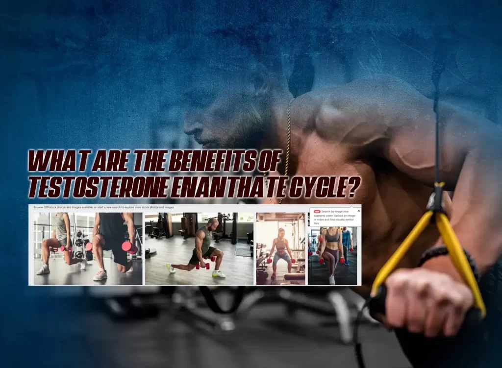 Testosterone Enanthate cycle benefits